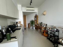 The Crest (D3), Condominium #481899561